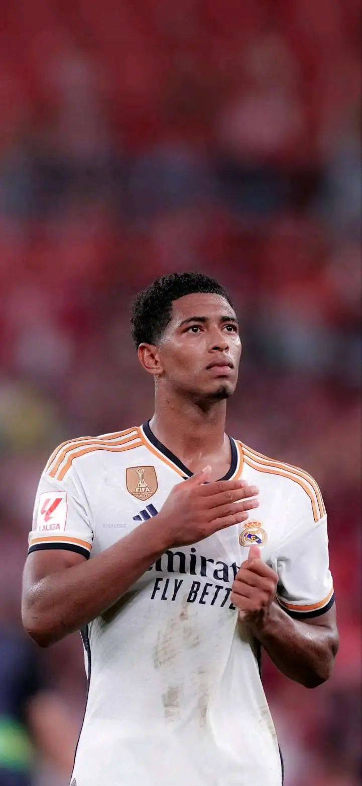 格雷米奥扳平后，主帅梅内塞斯与球迷发生口角并向其竖中指（格雷米奥追平后，主帅梅内塞斯与球迷口角并做出竖中指手势）